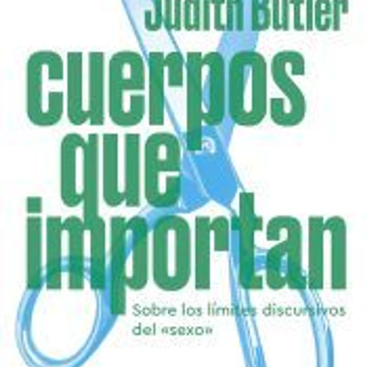 Cuerpos que importan 1