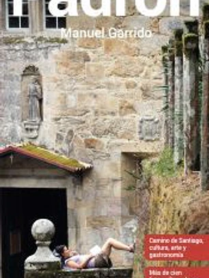 GUÍA DE PADRÓN