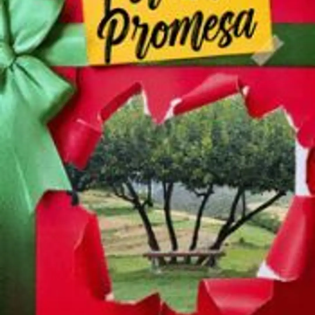 POR UNA PROMESA 1