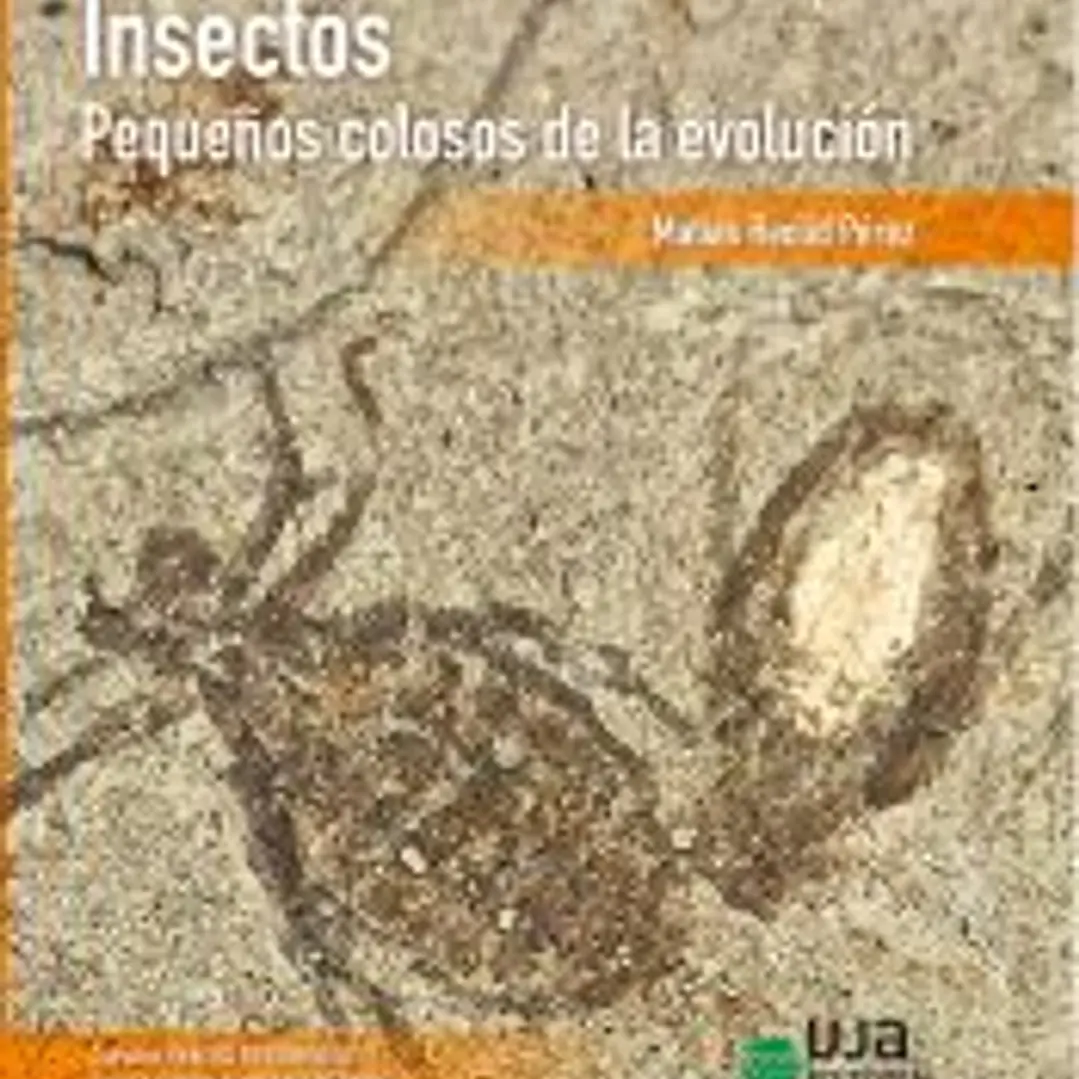 Insectos: pequeños colosos de la evolución 1