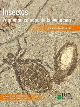 Insectos: pequeños colosos de la evolución