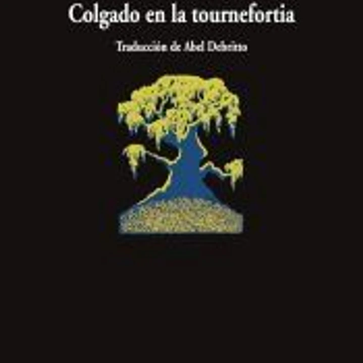 Colgado en la tournefortia 1