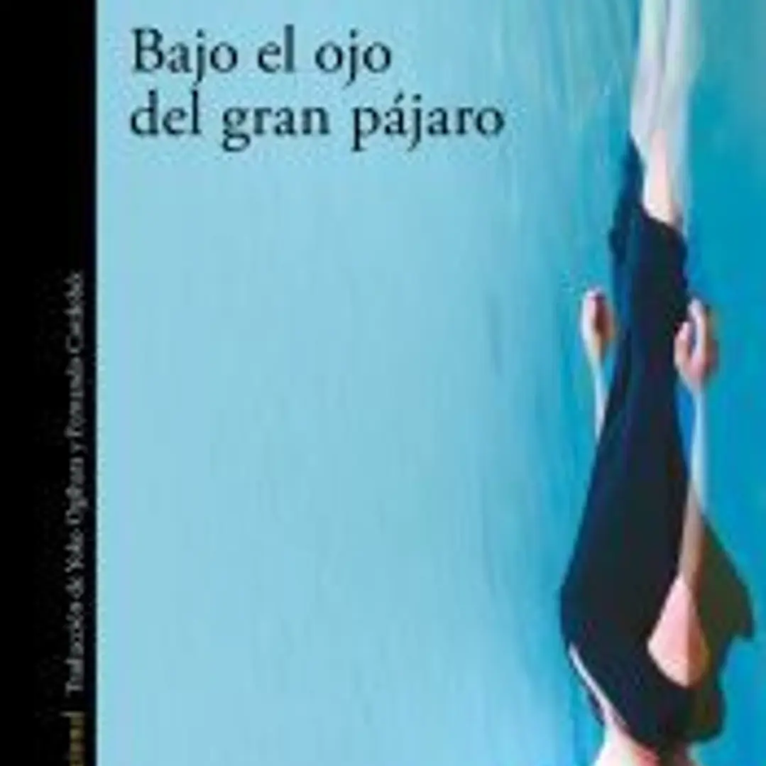 Bajo el ojo del gran pájaro 1