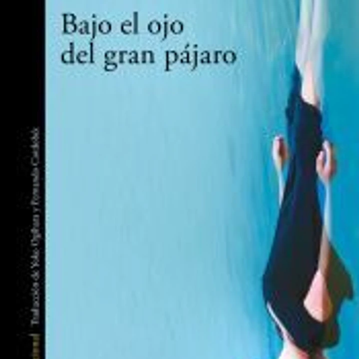 Bajo el ojo del gran pájaro 1