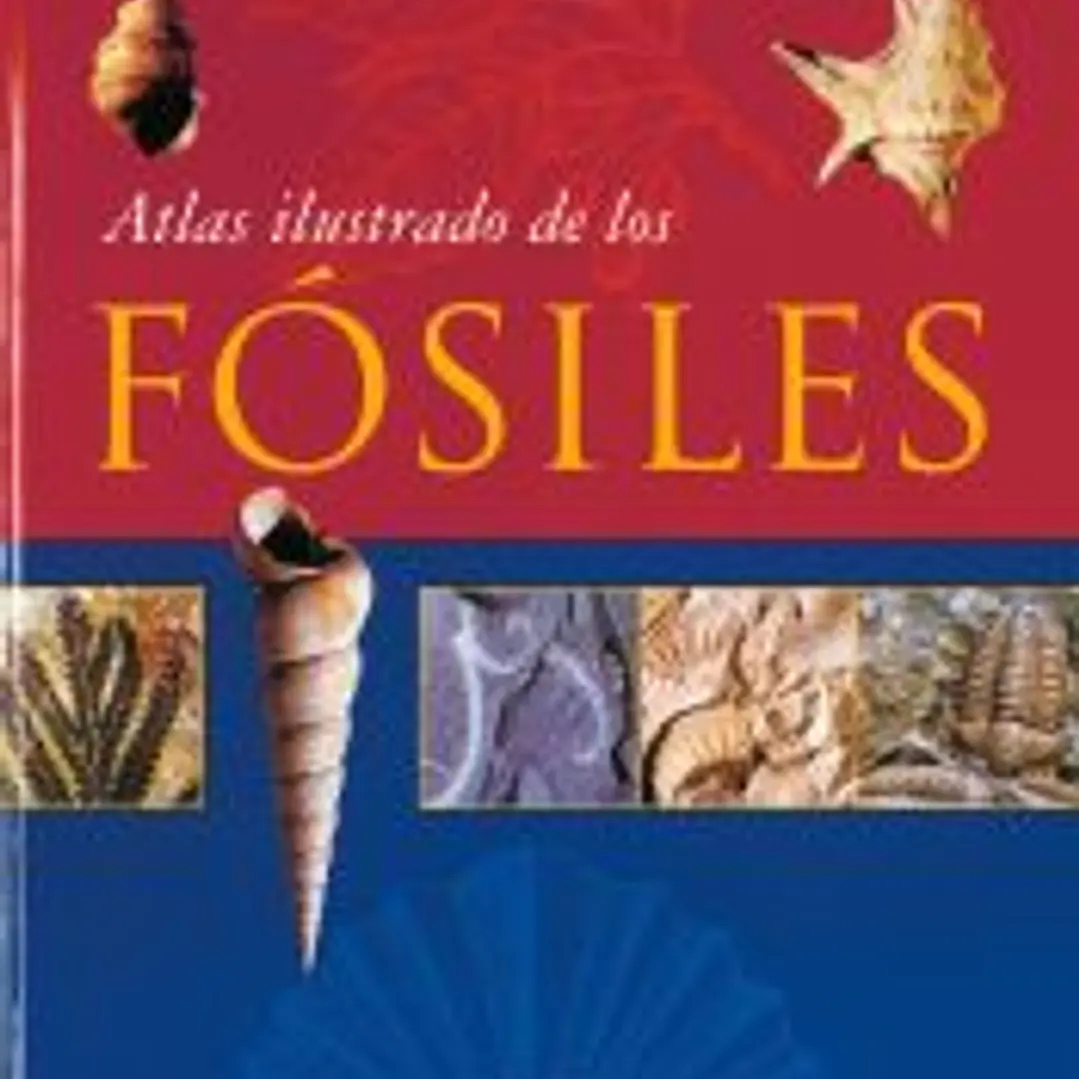 Atlas Ilustrado. Fósiles 1
