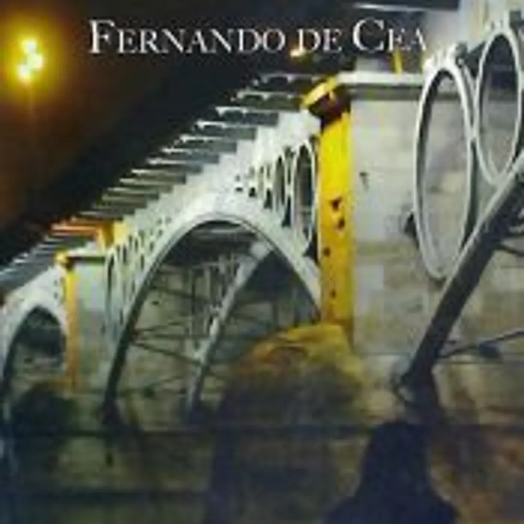 Puentes y sombras 1