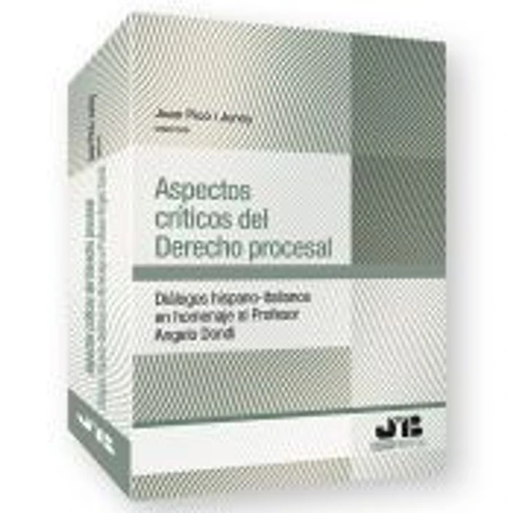 Aspectos críticos del Derecho procesal 1