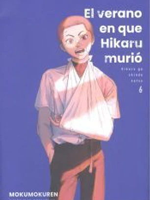 EL VERANO EN QUE HIKARU MURIO 6