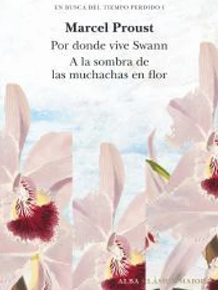 En busca del tiempo perdido, vol. 1
