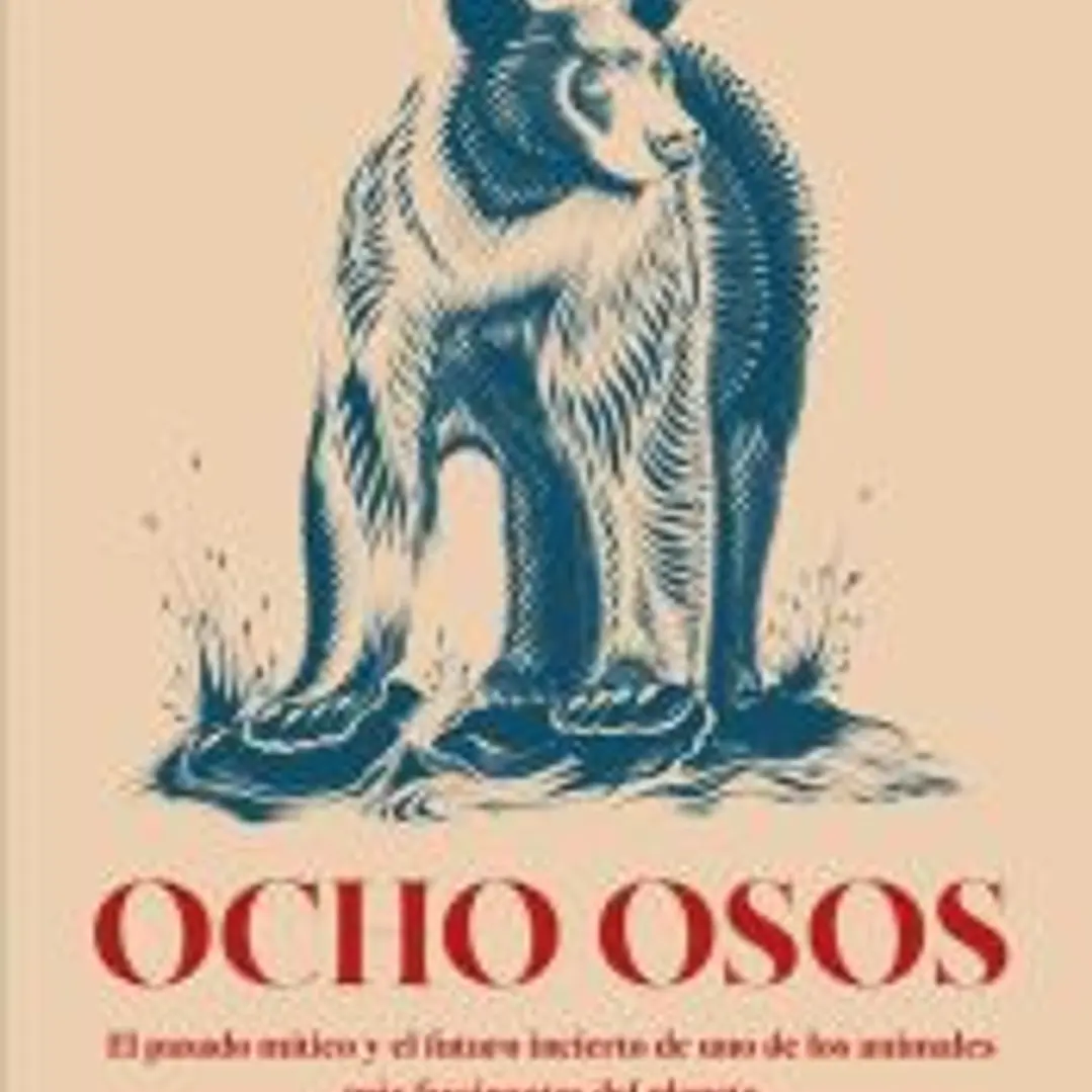 Ocho osos 1