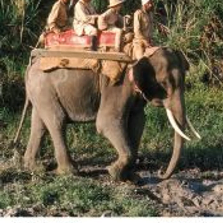 Pasaje a la India 1