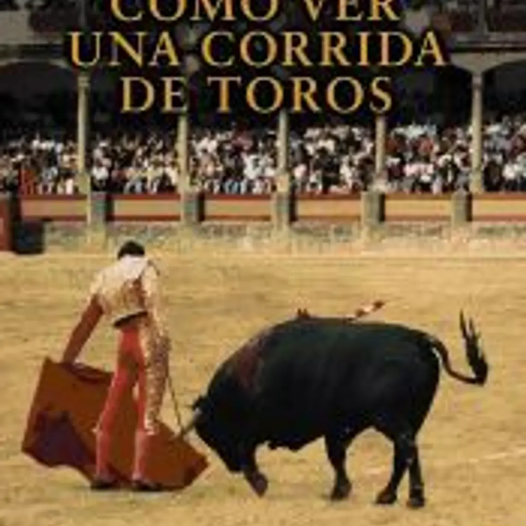 Cómo ver una corrida de toros 1