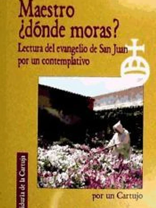 MAESTRO DONDE MORAS ?. LECTURA DEL EVANGELIO DE JUAN