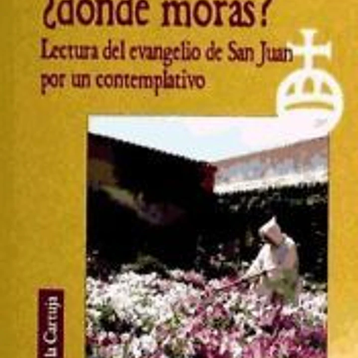 MAESTRO DONDE MORAS ?. LECTURA DEL EVANGELIO DE JUAN 1