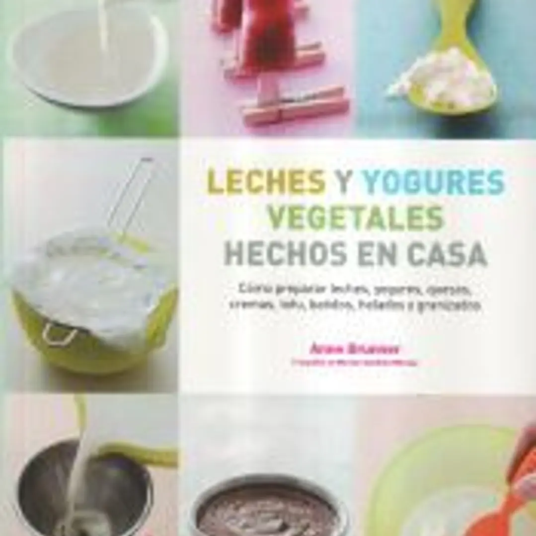 Leches y yogures vegetales hechos en casa 1