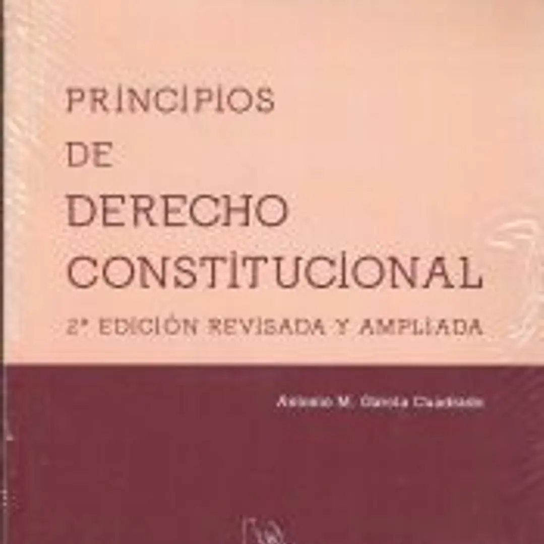 Principios de derecho constitucional 1