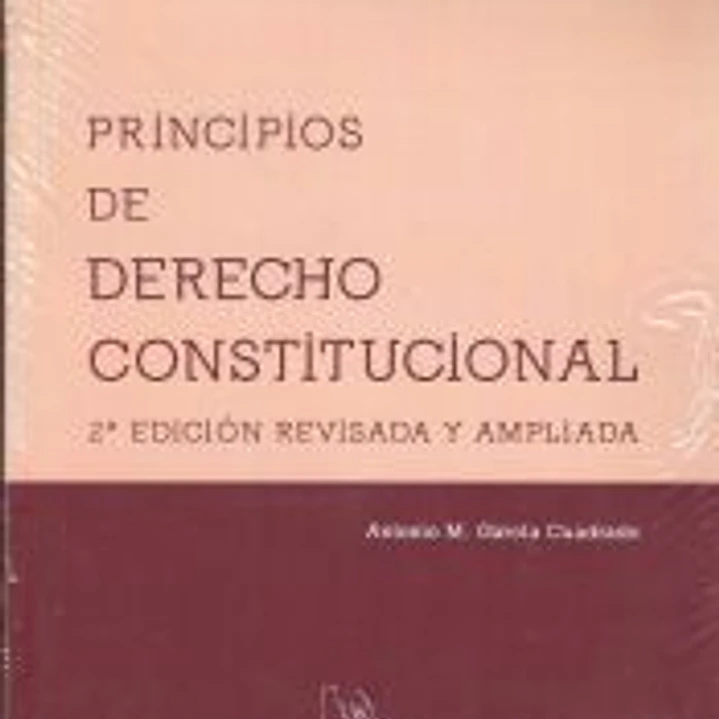Principios de derecho constitucional 1