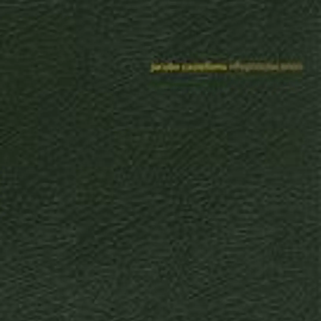 Jacobo Castellano. riflepistolacañon 1