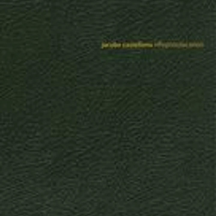 Jacobo Castellano. riflepistolacañon 1