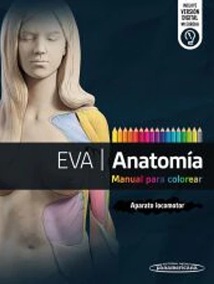 EVA | Anatomía. Manual para colorear