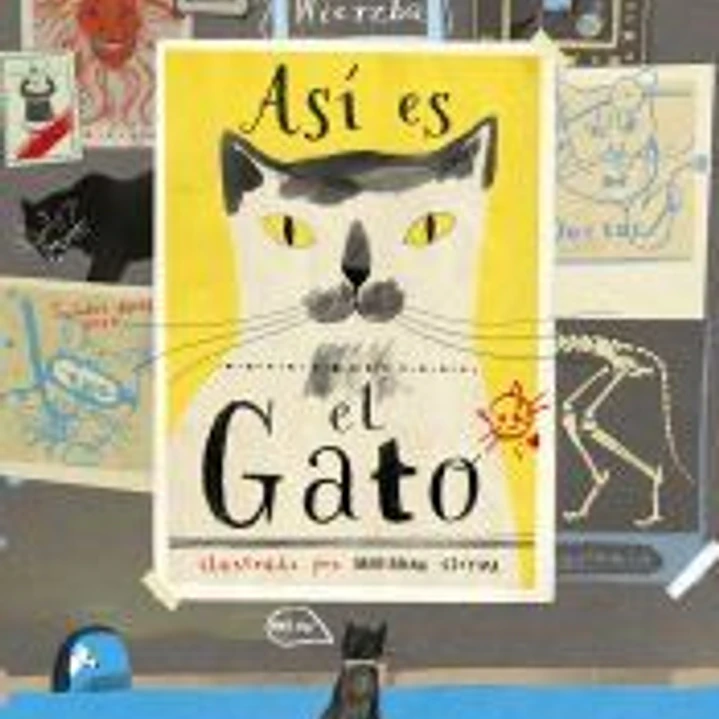 Así es el gato 1