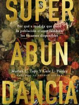 Superabundancia