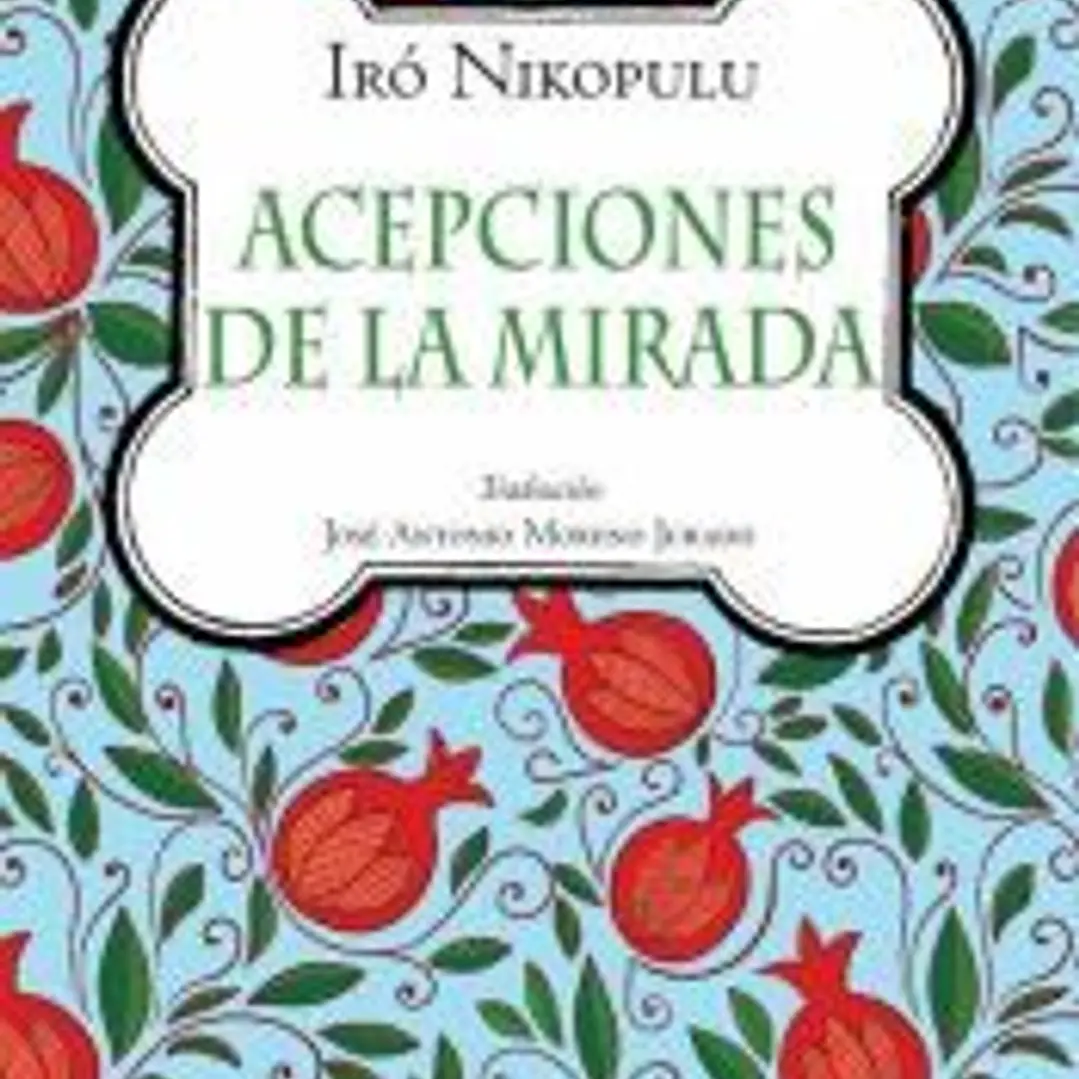 Acepciones de la mirada 1