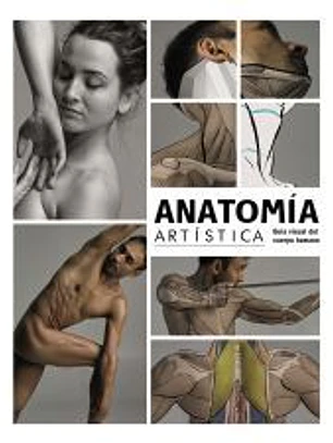 Anatomía artística