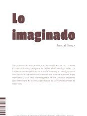 Lo imaginado