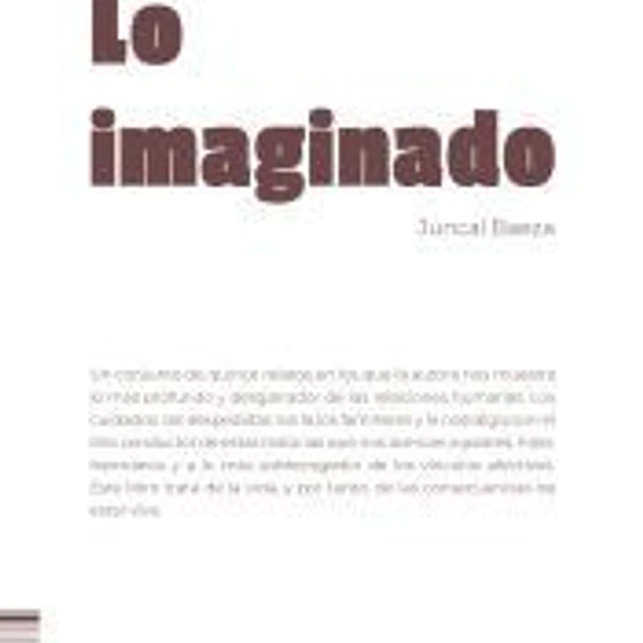 Lo imaginado 1