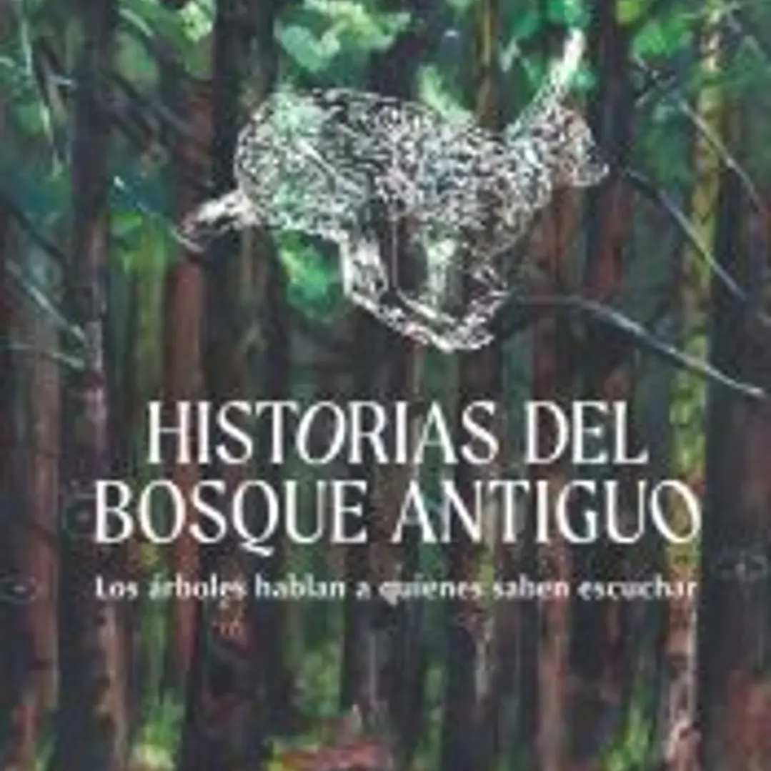 Historias del bosque antiguo 1
