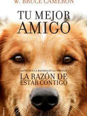 La razón de estar contigo: una novela para humanos