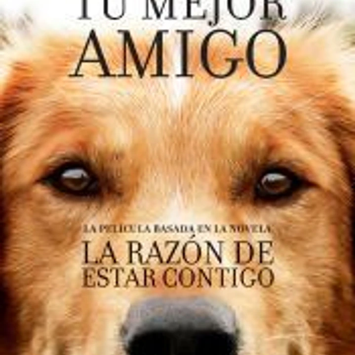La razón de estar contigo: una novela para humanos 1