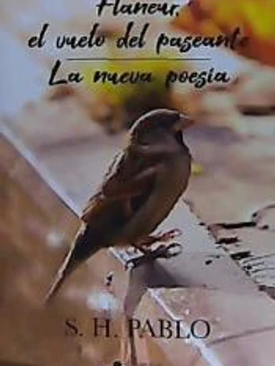 Flaneur, el vuelo del paseante