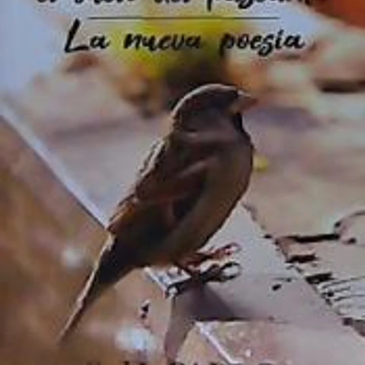Flaneur, el vuelo del paseante 1