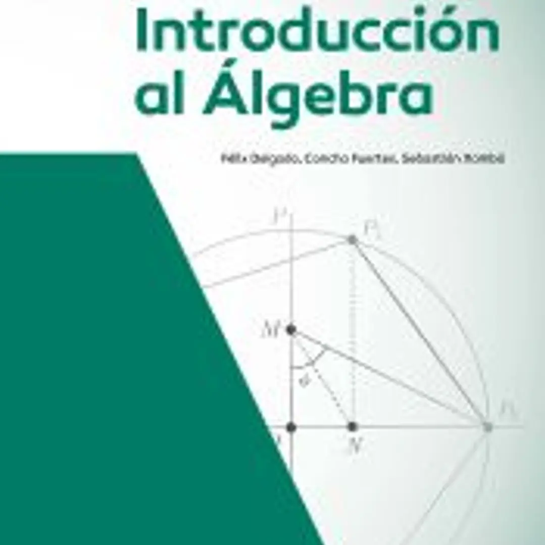 Introducción al álgebra. 2a. edición 1