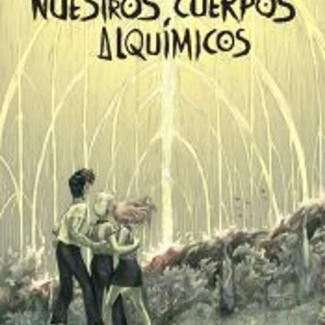 Nuestros cuerpos alquímicos 1