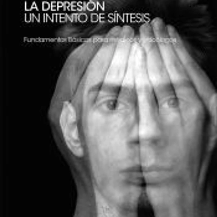 La depresión. Un intento de síntesis 1