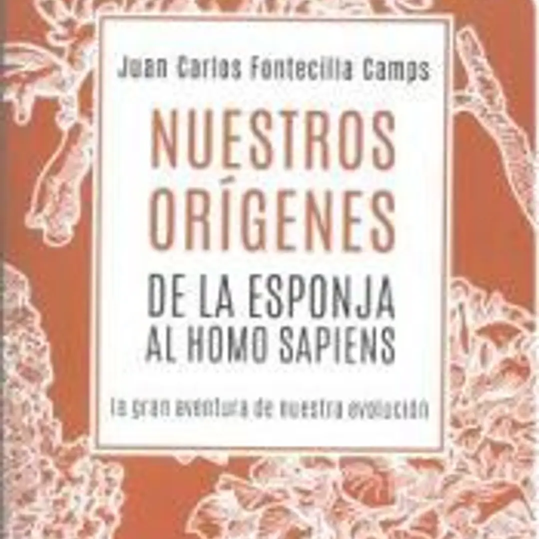 Nuestros OrÍgenes De La Esponja Al Homo Sapiens 1