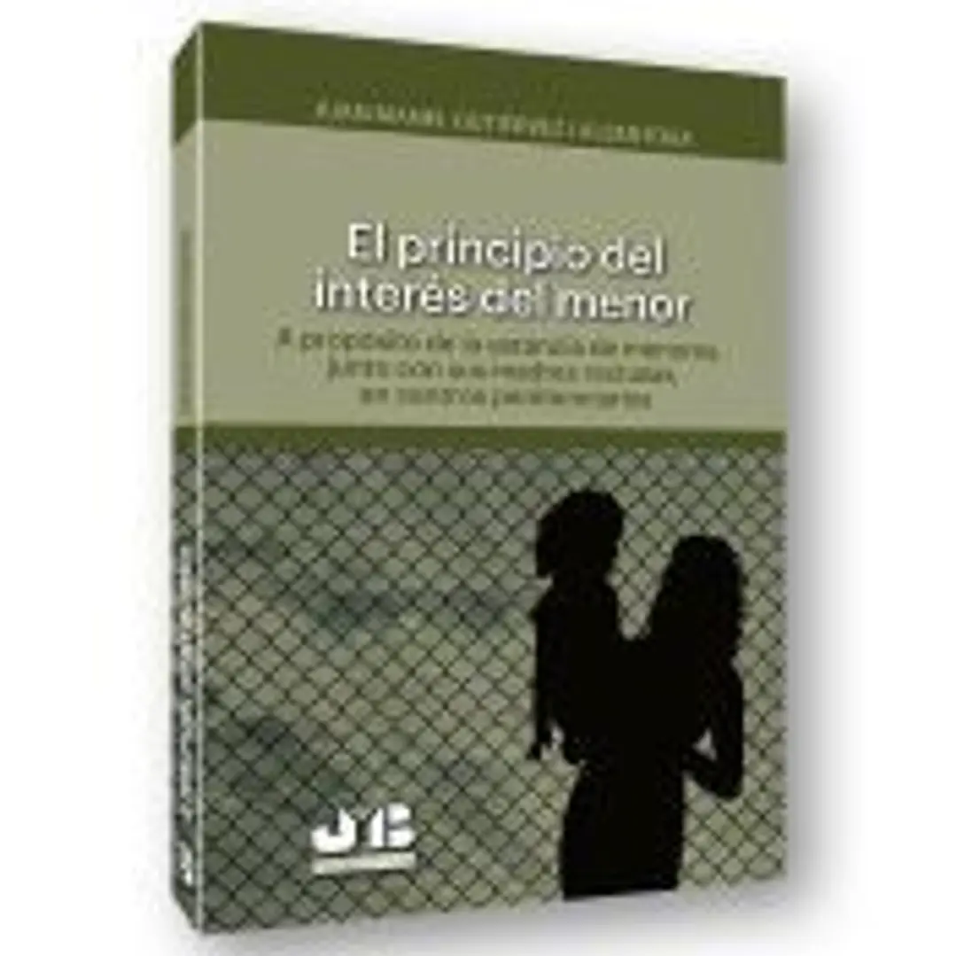El principio del interés del menor. 1