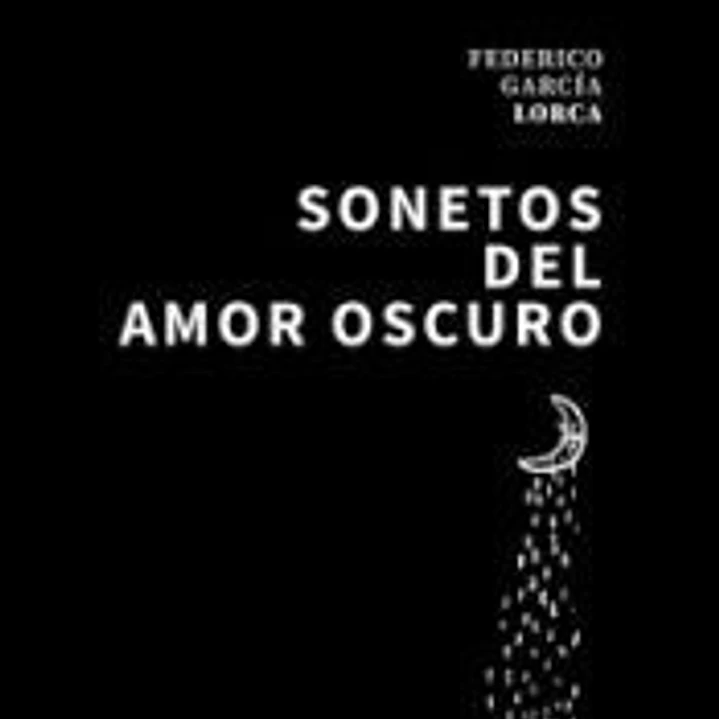 Sonetos del amor oscuro 1