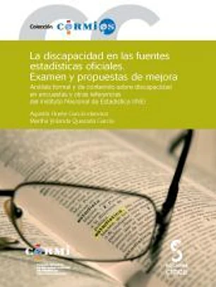 Discapacidad en las fuentes estadísticas oficiales, La
