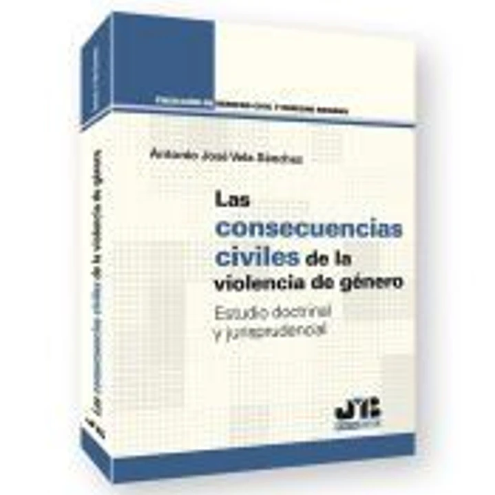 Las consecuencias civiles de la violencia de género 1