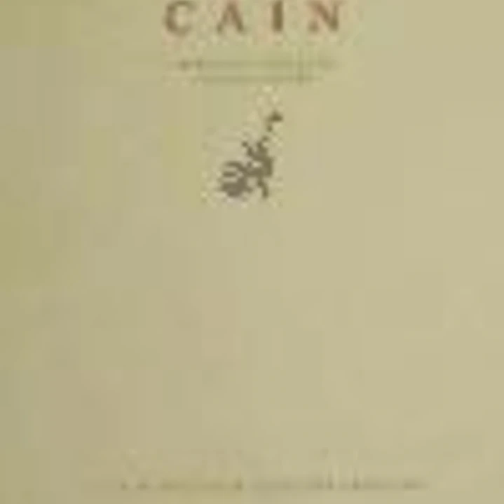 Caín : un misterio 1