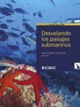 Desvelando los paisajes submarinos