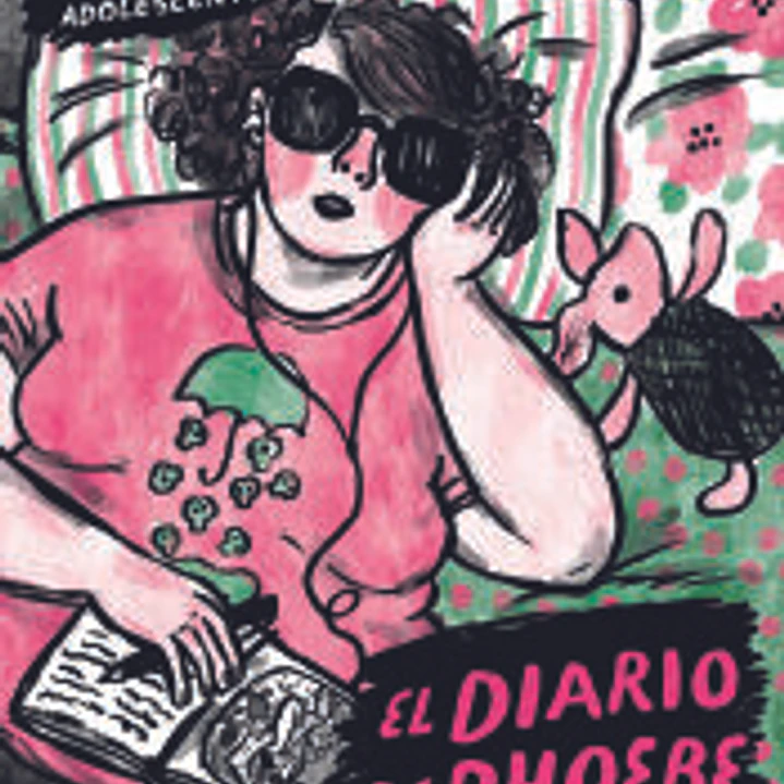 El diario de Phoebe 1
