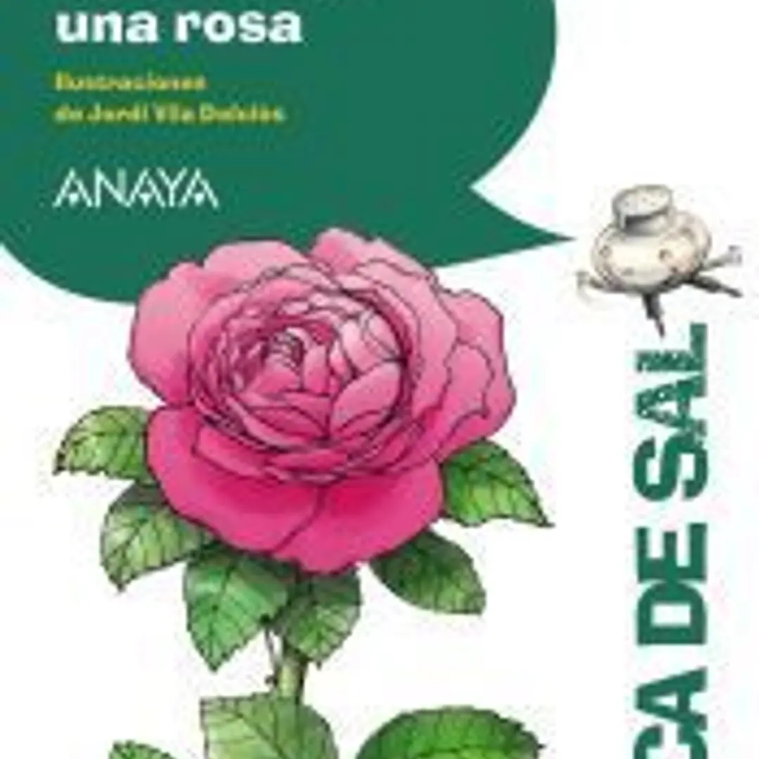 Historia de una rosa 1