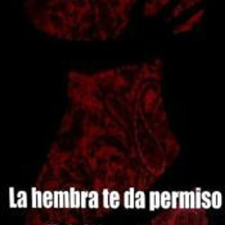 LA HEMBRA TE DA PERMISO 1