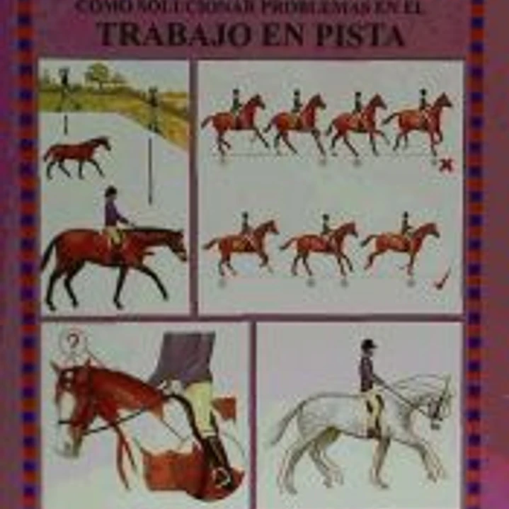 Cómo solucionar problemas en el trabajo en pista (Guías ecuestres ilust.) 1
