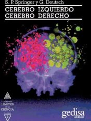 Cerebro izquierdo, cerebro derecho
